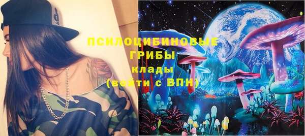 стаф Абаза