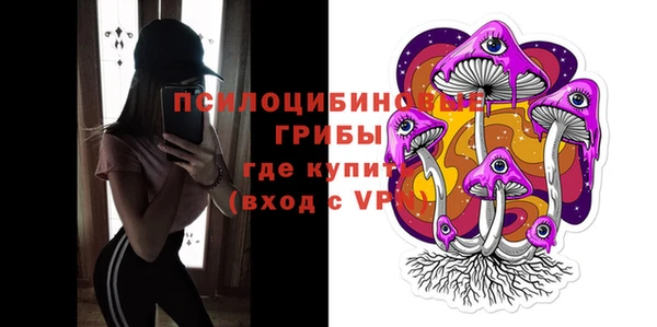 стаф Абаза