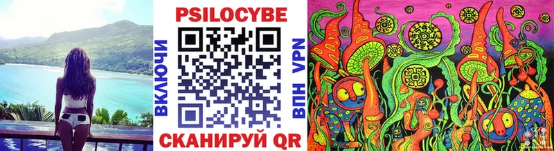 Галлюциногенные грибы Psilocybine cubensis  Шахунья 